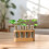 Plant propagation station with LED lights 6