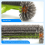 Pool Brush Head with Round Ends, for Cleaning Pool Walls Green 6