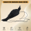 Realistic Hanging Dead Crow Decoy Extra Large Black Feathered Crow 6