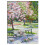 Stamped Kits 14CT Printed Embroidery Cloth 5