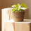 Rietvlecht Stro-Weving Bloempot Opslagmand - Wicker/Rattan - Groot 6