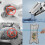 Flat Floor Mop with Replace Cloth Heads 360 Degree Squeeze Mop 6