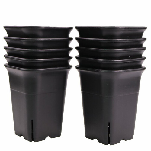 12er-Pack schwarzer quadratischer Blumentopf aus Kunststoff 2