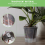 6 Inch Transparent Self Watering , 5 Pack with Deep Reservior 3