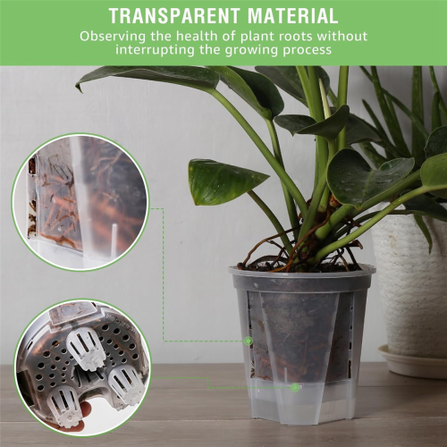 6 Inch Transparent Self Watering , 5 Pack with Deep Reservior 2