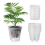 6 Inch Transparent Self Watering , 5 Pack with Deep Reservior 1