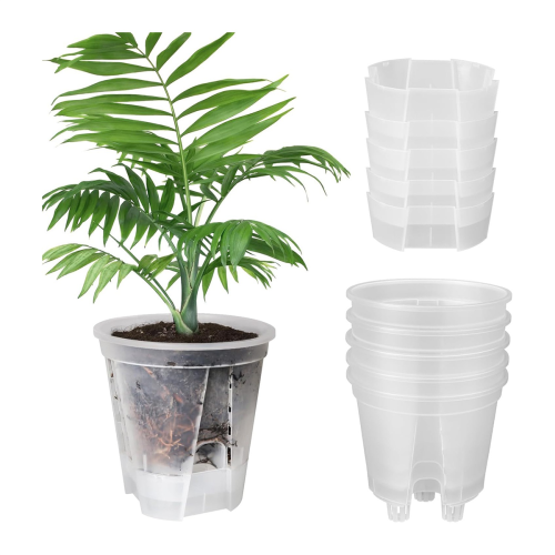 6 Inch Transparent Self Watering , 5 Pack with Deep Reservior