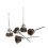 -Round Brown Other 1