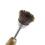 -Round Brown Other 6