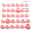 30pcs Heart Cookie Cutters Molds for Baking Enthusiasts 5