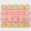 10pcs Stable Capybara Cookie Cutter Set Portable Biscuits Stamp 6