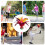 2Pcs Kick Shuttlecock Colorful Chinese Jianzi 6