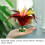 2Pcs Kick Shuttlecock Colorful Chinese Jianzi 3