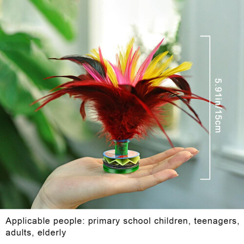 2Pcs Kick Shuttlecock Colorful Chinese Jianzi 2
