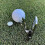 Divot Tool with Ball Marker Cigar Holder Gift for 10