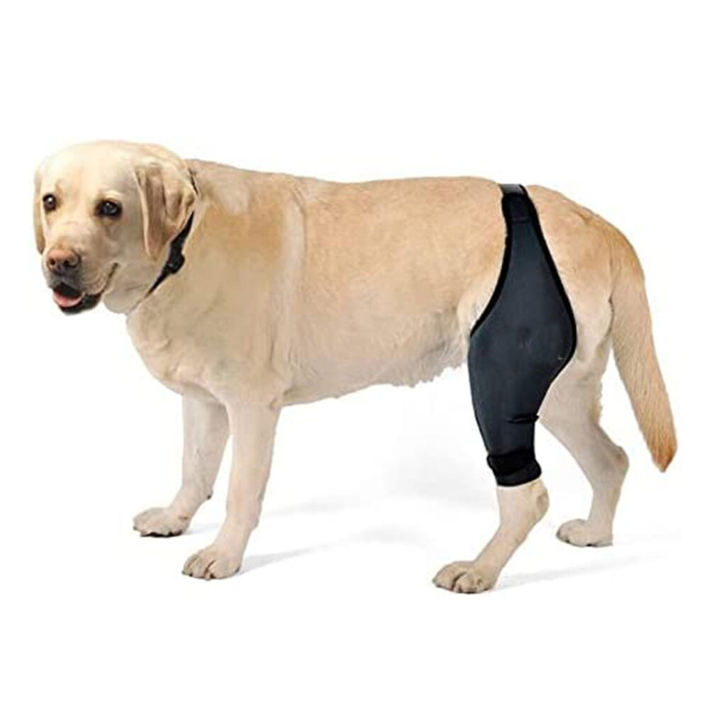 Black Strong Dog Knee Brace Xl Neoprene Support For Leg Wounds