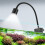 USB Powered 1W LED Fish Tank Light Adjustable Clip for Frameless Tanks 5