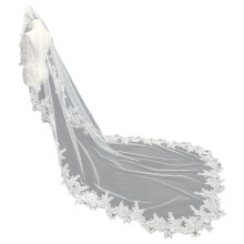 Cathedral Length Lace Veil Wedding Ceremony Veil Photography