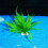 FishTank Shrimp Breeding Artificial Plant Ornaments for 4
