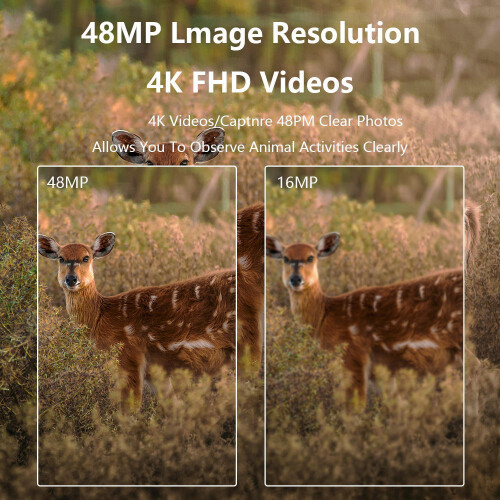 4K 48MP Hunting Camera with 46 LED Night Vision 0.3s Fast Trigger 1