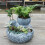 Succulent Planter Perfect for Garden Enthusiasts and Interior 2