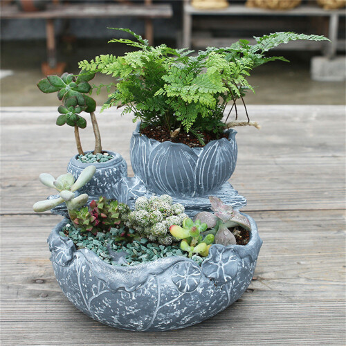 Succulent Planter Perfect for Garden Enthusiasts and Interior 1