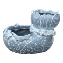 Succulent Planter Perfect for Garden Enthusiasts and Interior