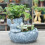 Succulent Planter Perfect for Garden Enthusiasts and Interior 7