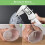 6 Inch Transparent Self Watering , 5 Pack with Deep Reservior 6