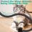 Dog and Cat Cord Protector 10ft ,Cable Sleeve 1/2inch 3