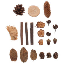 natuurlijke sieraden diy fotocabine bos achtergrond