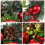 Christmas Wreath with Light Front Door Wall Decoration 7