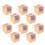 Cupcake Storage Containers Paper Cake Box Multi 10set 1