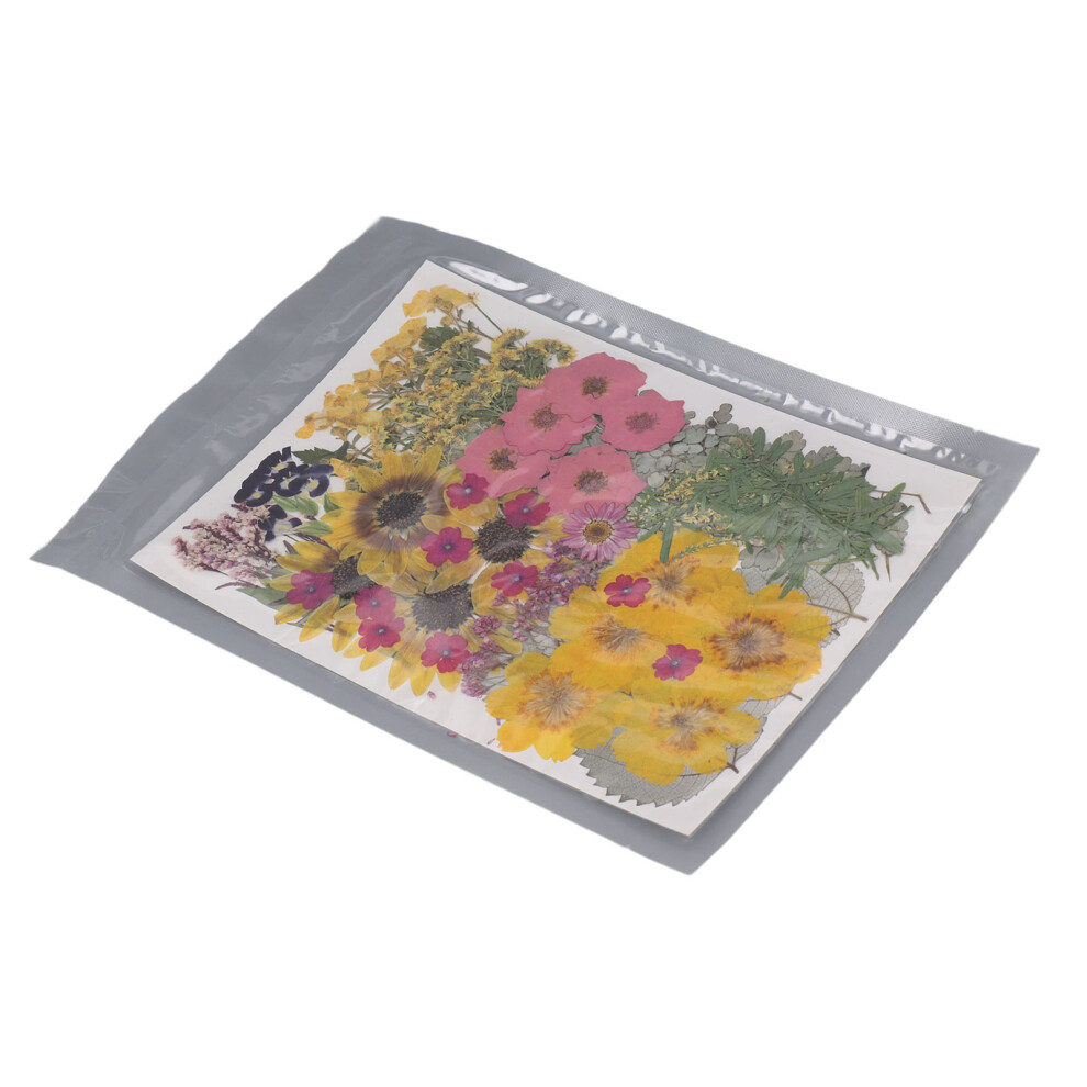 100 Pcs Dried Pressed Flowers 13 Types with Stickers for Crafts, 19x27cm-image-OPC-PKDTDPN-NEW