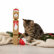 Pet Cat Christmas Cracker Hat Motto Ball With Bell No Snap 36cm