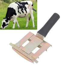 Pettine per tosatura del bestiame in ferro dorato 21.5x14cm rilievo