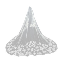 Cathedral Length Lace Veil Wedding Ceremony Veil Photography