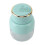 Mixeur portable vert 800 ml USB 11 x 16 cm 15