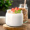 Whey Separator Fine Mesh Yoghurt Filter for Making Thick Yogurt 7
