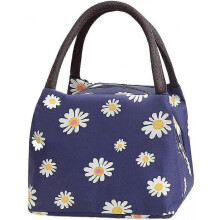 Portable Lunch Box Bag, Work Lunch Bag, Small Lunch Bag, Lunch Bag for Women, Lunch Bag for School, Work, Outdoor Picnic