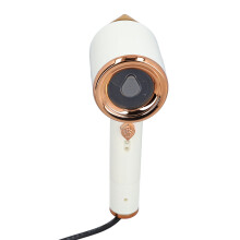 Vaporizador de ropa portátil de 110 V 0,84 lb
