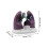 Human Anatomical Lung Model Realistic Pathological Lung Anatomy 3