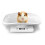 Digital Pet Scale Weight Measure Tool Backlight Multi-function Portable for Dog Cat 17