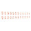 24 Pcs Heart Press On Nail French Tip False Nail Valentines Day 1