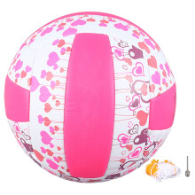 Size 5 Training Volleyball PU Soft Indoor Outdoor
