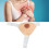 Side Silicone Bust Form S Cup, Brown, Adjustable Single Strap 4