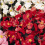 Begonia semperflorens Mix – Easy, Colourful Bedding Plants 1
