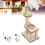 Safe Eco-Friendly Cat Playset with Smooth Edges and Unique Design 13