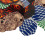 77Pcs Dart Flights Durable PET Replacement Feather 14