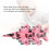 4pcs Alloy Fighter Jet Pull Back Model Toy Set for Kids - Type 2 6